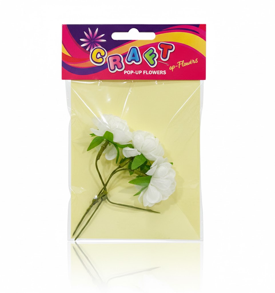 unnamed - 2026-02-20T060147.789